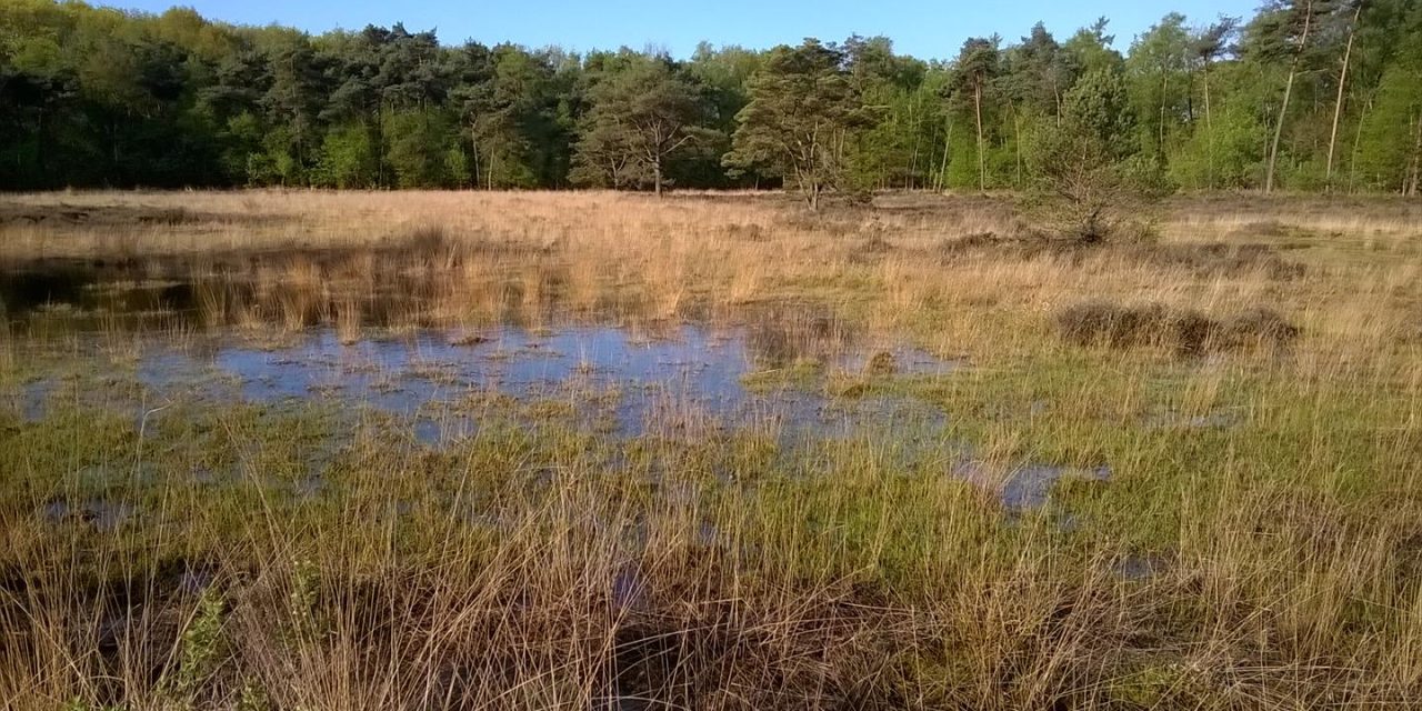 5 mei – Het paradijs