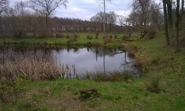 Hardlopen rondom de Glind