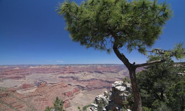 Tweede dag Grand Canyon – zondag 5 juni