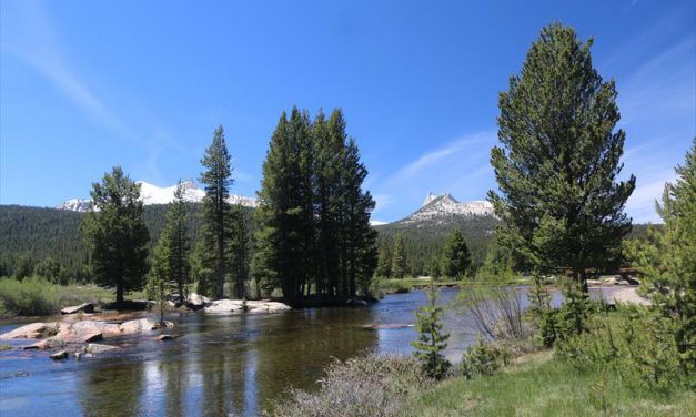 Yosemite Park 2 – Zondag 19 juni