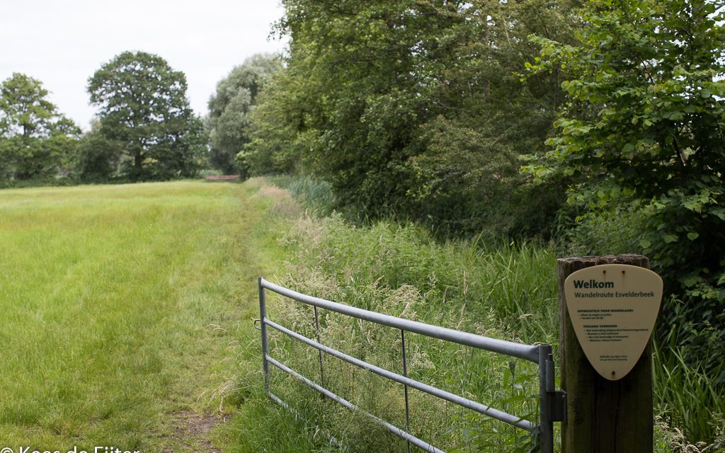 Zondagmiddag wandeling